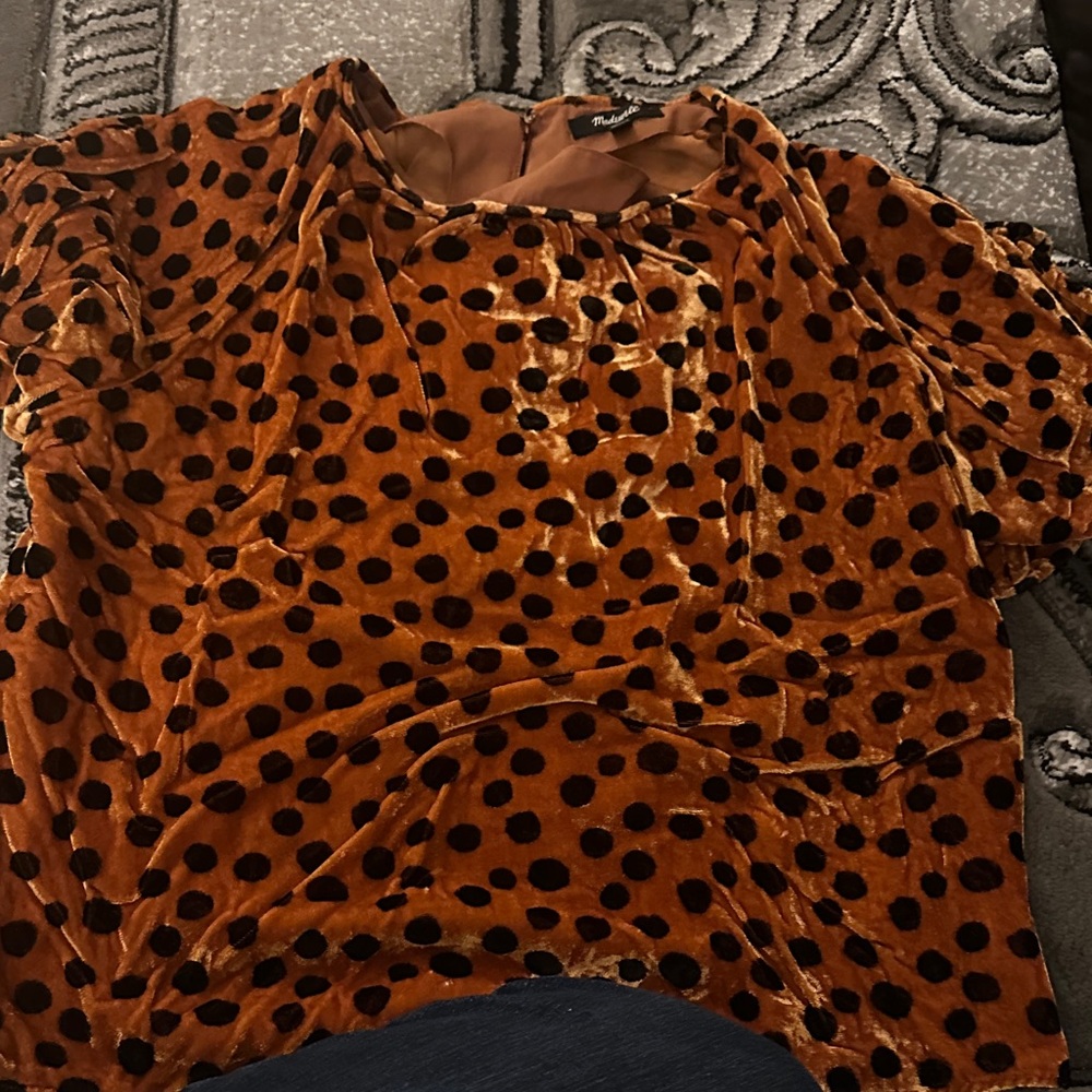 Madewell Brown Velvet Polka Dot Blouse